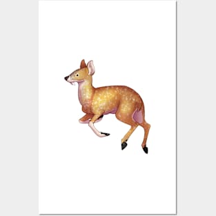 Cozy Water Deer Posters and Art